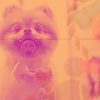 Download track Subtle Ambiance For Separation Anxiety