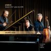 Download track Piano Trio No. 1 In B-Flat Major, Op. 99, D. 898 II. Andante Un Poco Mosso
