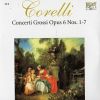 Download track Concerto 1 In D Major 2 Largo - Allegro