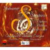 Download track 7. Perpetuum Mobile Perpetual Motion Ein Musikalischer Scherz For Orchestra Op. 257 RV 257