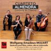 Download track Flute Quartet No. 1 In D Major, K. 285 II. Adagio