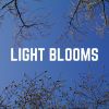 Download track Swaying Trees