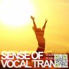 Download track At The End Of The Day (Suncatcher Remix)