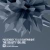 Download track The Beauty You Are (Radio Edit)