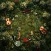Download track Deep Reflection