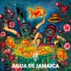 Download track Habanero Lost In The Sea (Perdido En El Mar)