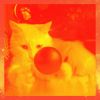 Download track Simplistic Music For Echos