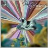 Download track El Resplandor