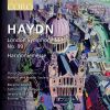 Download track 04. Symphony No. 99 In E-Flat Major, Hob. I99 IV. Finale - Vivace