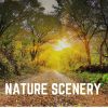 Download track Soundscapes Of Nature Melodies, Pt. 20