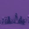 Download track Inspiring Solo Piano Jazz - Vibe For Quiet Dogs