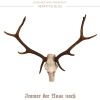 Download track Weiss