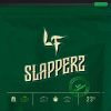 Download track La Chapiza