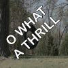 Download track O What A Thrill - Tribute To The Mavericks (Instrumental)