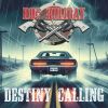 Download track Destiny Calling