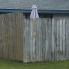 Download track Why Don’t You Believe Me-