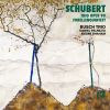 Download track Schubert Piano Trio In B-Flat Major, Op. 99, D. 898 I. Allegro Moderato