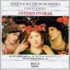 Download track Serenade In D Minor, Op. 44 (Transcription) - IV. Finale. Allegro Molto