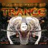 Download track Cosmic Evolution