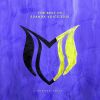 Download track Like A Bird (Extended Mix)