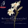Download track Johann Sebastian Bach: Der Herr Denket An Uns BWV 196 - Coro