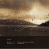 Download track Symphonie No. 2 In D - Dur, Op. 43. - IV. Finale. Allegro Moderato
