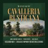 Download track Cavalleria Rusticana: Prelude (Continued) [Live]