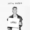 Download track Sorry