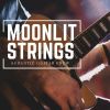 Download track Guitar Music