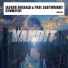 Download track Symmetry