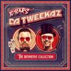 Download track Hardstyle Disco (Da Tweekaz X Sub Zero Project Remix)