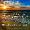 Download track Best Of Del Mar, Vol. 3 (Continuous Mix)