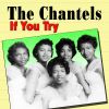Download track I'm The Girl