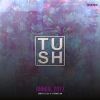 Download track Purplee Mood (D-Formation, T U S H Remix)