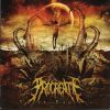 Download track Self Destructive Holy Whore