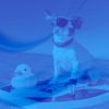 Download track Smart Music For Resting Dogs