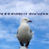 Download track Vernon LeNoir - The Mammal Interpreter