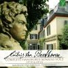 Download track Piano Sonata No. 7 In D Minor, Op. 10 No. 3 II. Largo E Mesto