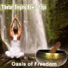 Download track The Spirit And Practice Of Moving Through Stillness (Tibetan Bowl Session)