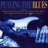 Download track Trouble Blues