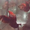 Download track I'm Awake