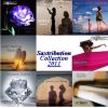 Download track Crazy For You