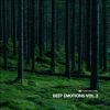 Download track Take The Leap (Davstr3k Remix)