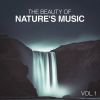 Download track Sounds From A Grove: Spring, Winds And The Blackbird