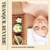 Download track Spa Music For Massage