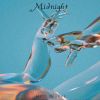 Download track Midnight
