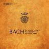 Download track Cantata BWV 207 - 2. Recitativo (Tenore): Wen Treibt Ein Edler Trieb Zu Dem, Was Ehre Heißt (Der Fleiß [Diligence])
