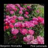 Download track Have A Good One