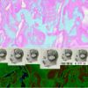 Download track Save The World