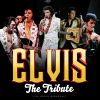 Download track That's Alright (Mama) (Live)